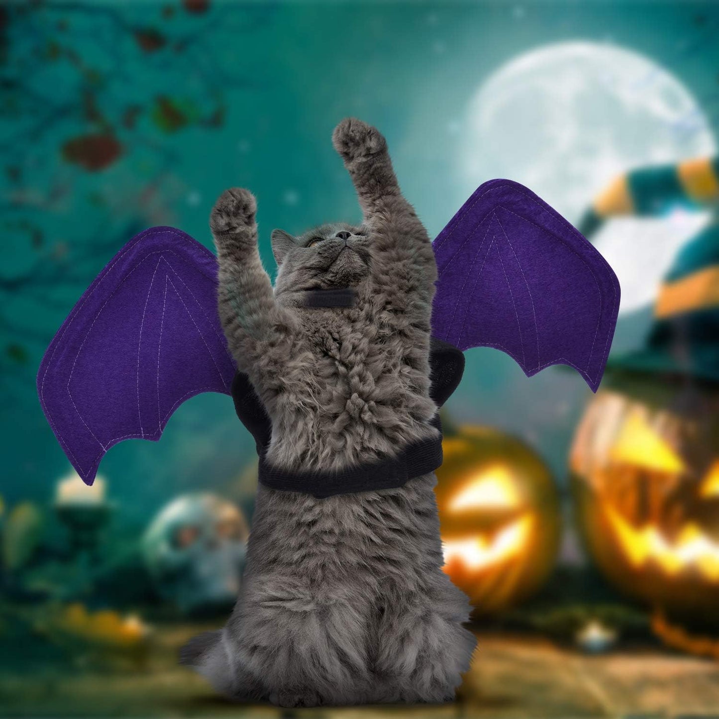 Adorable 3-Piece Halloween Bat Costume Set for Cats and Dogs - Perfect for Spooky Parties and Cosplay!
