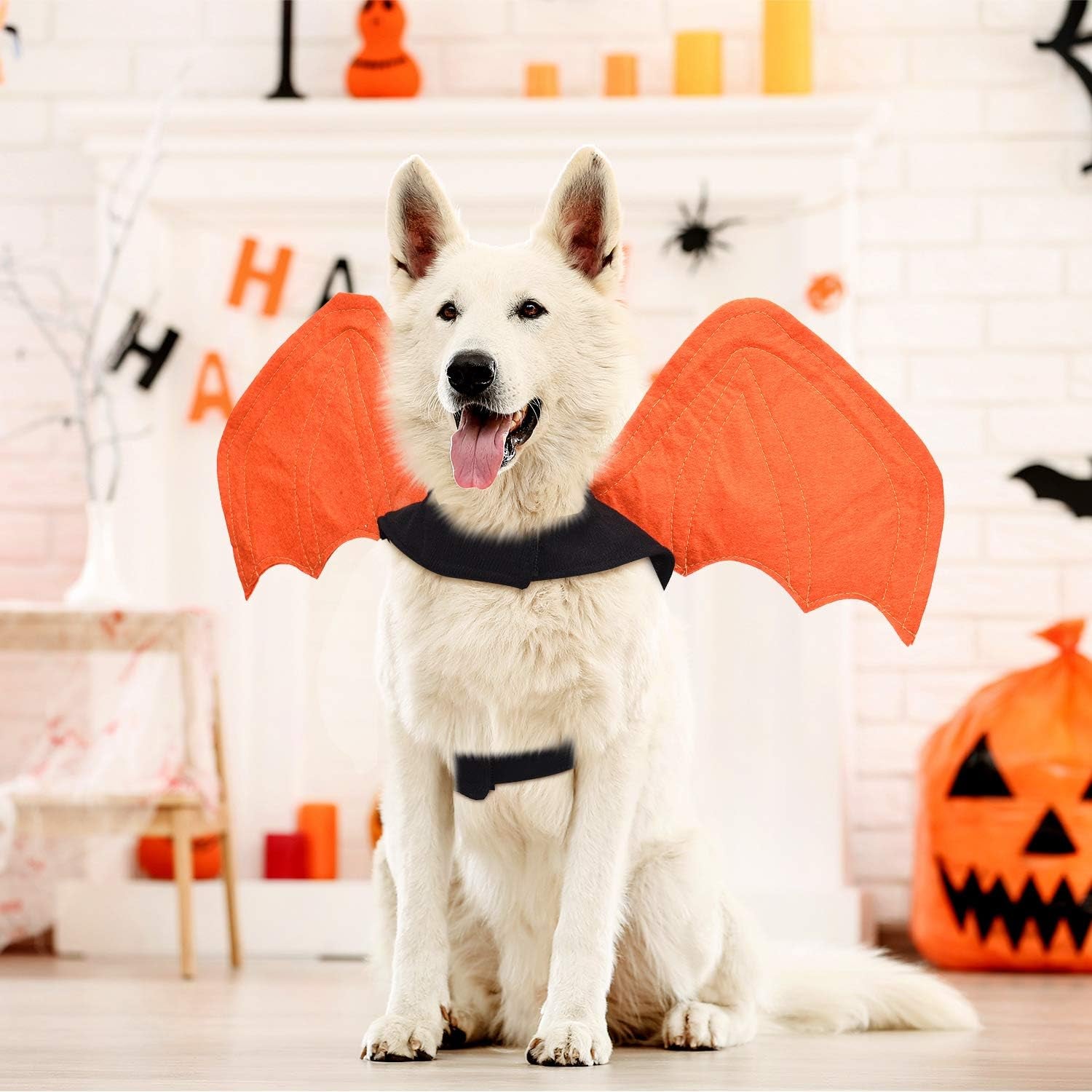 Adorable 3-Piece Halloween Bat Costume Set for Cats and Dogs - Perfect for Spooky Parties and Cosplay!