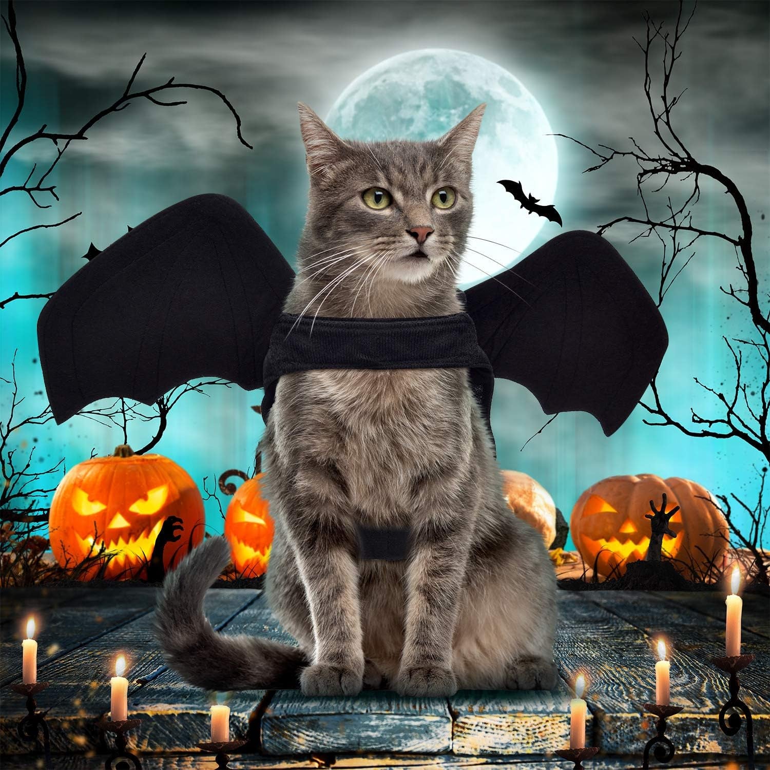 Adorable 3-Piece Halloween Bat Costume Set for Cats and Dogs - Perfect for Spooky Parties and Cosplay!